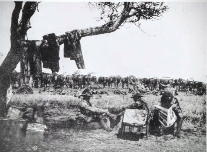 Men of the 25th Bn. Royal Fusiliers taking a rest in the veld of East Africa